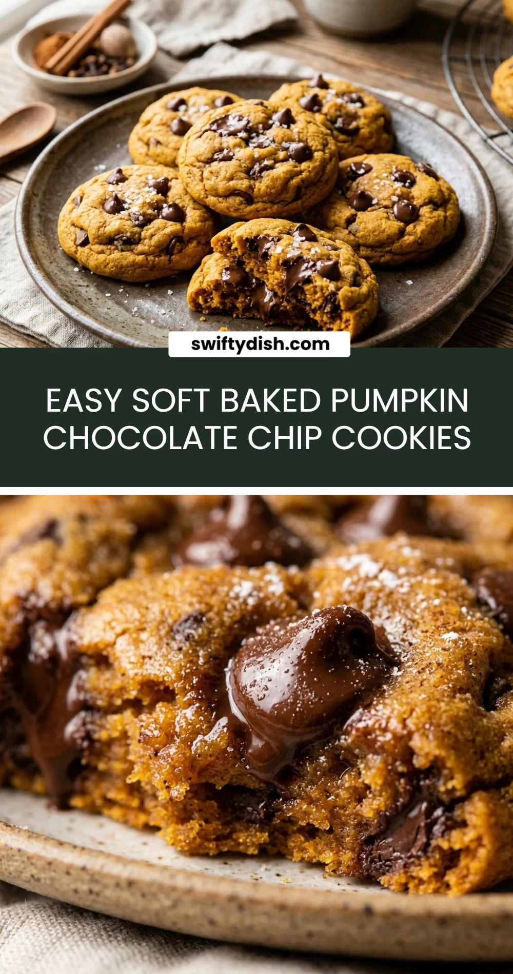Easy Soft Baked Pumpkin Chocolate Chip Cookies
