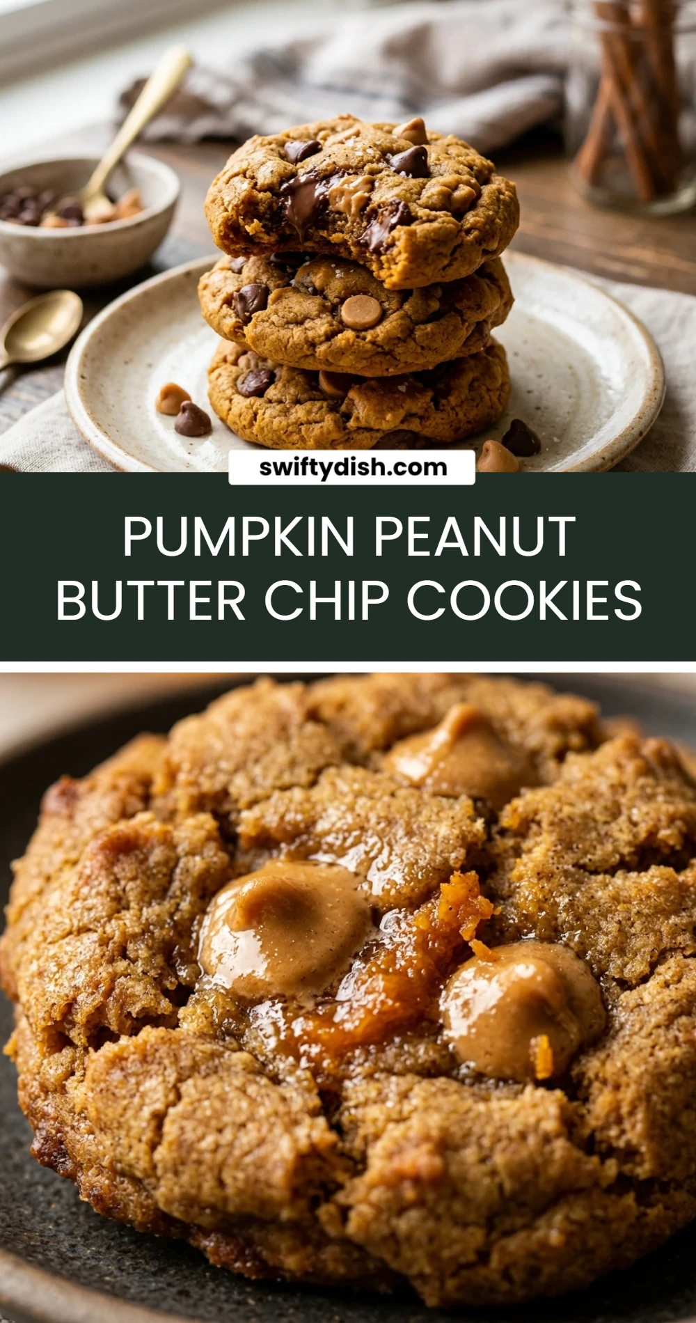Pumpkin Peanut Butter Chip Cookies